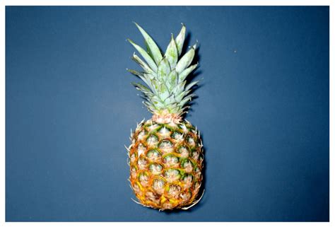 Image result for How Do You Create a Vector Image