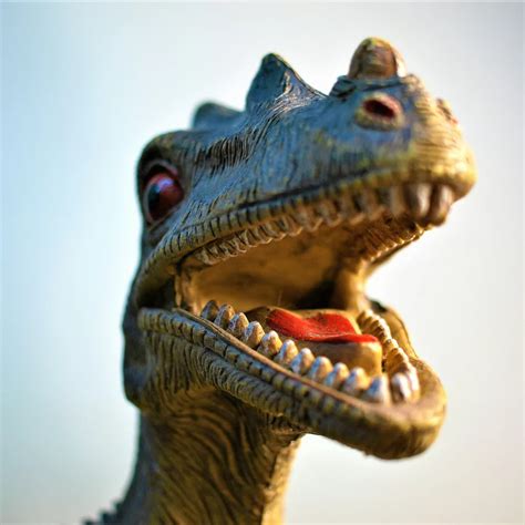 Image result for Remove Background for Free