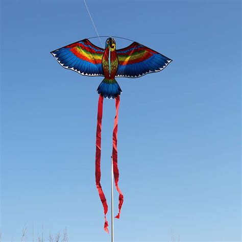 Parrot Kite Bird Kites Outdoor Kites Flying Toys Kite Children ...
