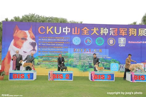 4天15万人参观，东盟最大且独一无二的泰国宠物狗展了解一下？-中国国际宠物水族用品展CIPS