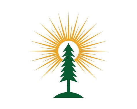 Image result for Cedar Tree Logo Tutorial