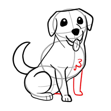 Image result for How to Draw a Labrador Step by Step