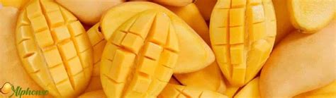 Buy Premium quality Mangoes Online – AlphonsoMango.in
