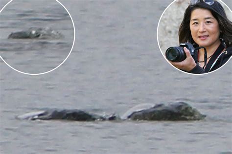 New 'sighting' of Loch Ness monster captured in photos