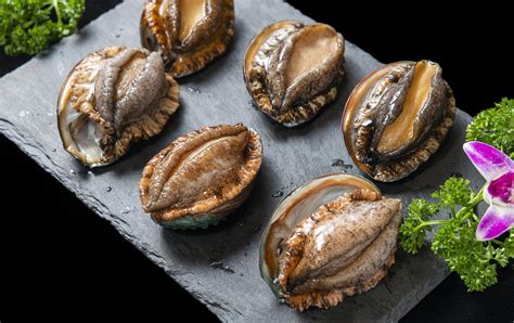 Everyone's favorite abalone has 5 hidden nutritional values, and it is ...