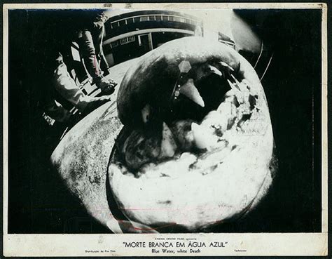 Blue Water, White Death (1971)