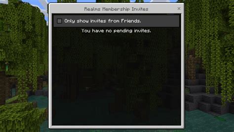 Image result for How to except a Minecraft Invite On Computer