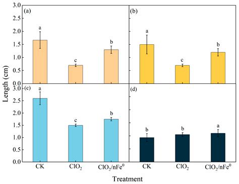 Activation of ClO2 by Nanoscale Zero-Valent Iron for Efficient Soil ...