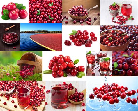 新鲜樱桃与果汁摄影高清图片 - 爱图网设计图片素材下载