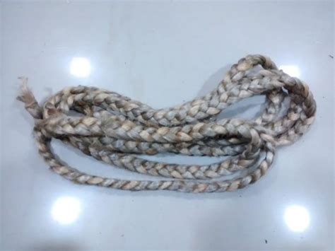 Braided Rugs - Sisal braided rug Trader - Retailer from Chennai