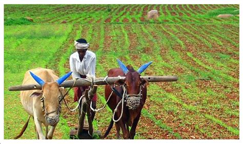 UPCCCE-Uttar Pradesh Climate Change and Clean Environment