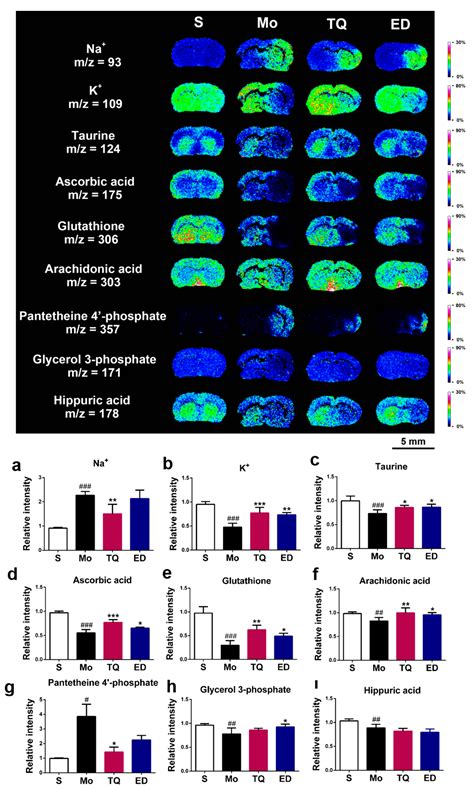 Effects of Thymoquinone on Small-Molecule Metabolites in a Rat Model of ...
