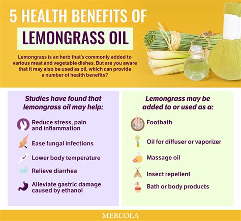 Lemongrass Benefits And Side Effects