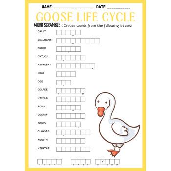 GOOSE LIFE CYCLE bundle - word search & word scramble & crossword