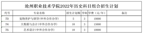 2022沧州职业技术学院中外合作办学学费多少钱一年-各专业收费标准