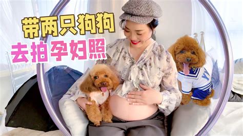 孕妈妈带着狗狗拍孕妇照，爱臭美的小泰迪太抢镜了，好暖！【萌星人火龙果】 - YouTube