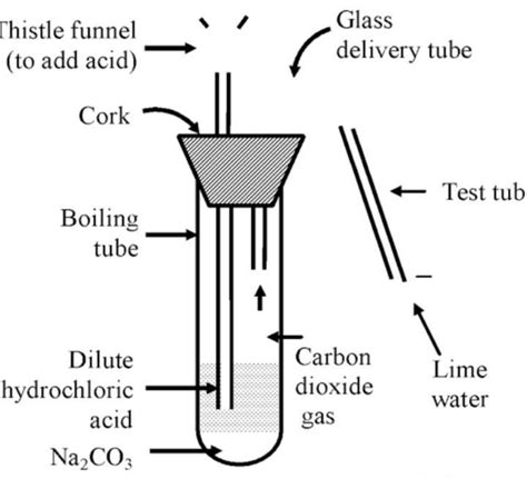 Explain in detail the reaction between sodium carbonate with ...