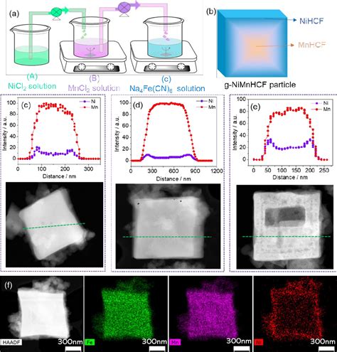 Image result for Concentration Gradient in Cathode