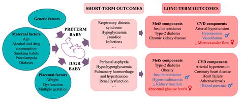 Sexual Dimorphism in Cardiometabolic Diseases: From Development to ...