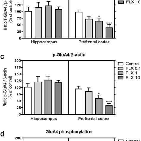 Image result for Glua4 Neuron