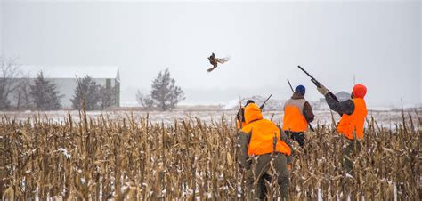 DeBoer's Guide Service South Dakota Pheasant Hunting - Photos