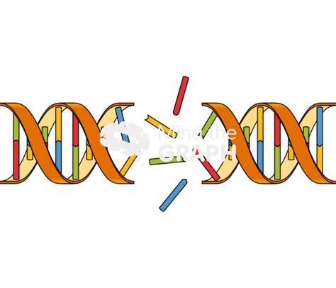 Image result for DNA Problem