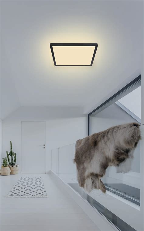 Bathroom ceiling light fixtures online