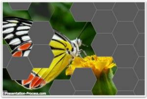 Image result for PowerPoint Animation Tutorials