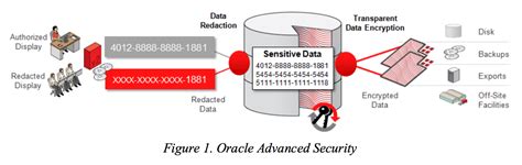 Oracle Database Encryption 12C 的图像结果