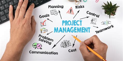 Project Manager Program 的图像结果