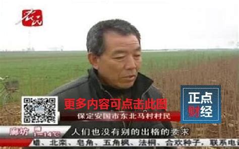 河北电视台农民频道帮大哥_在线视频回放_正点财经-正点网