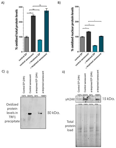 α-Terpineol Induces Shelterin Components TRF1 and TRF2 to Mitigate ...