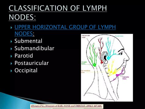 examination of lymph nodes | PPTX