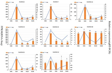 Identification and Bioinformatics Analysis of the HSP20 Family in the Peony