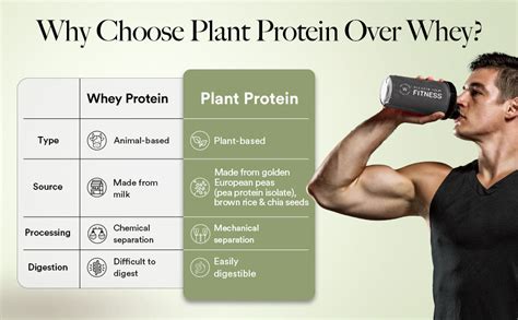 Buy Wellbeing Nutrition Organic Vegan Plant Protein Isolate Powder ...