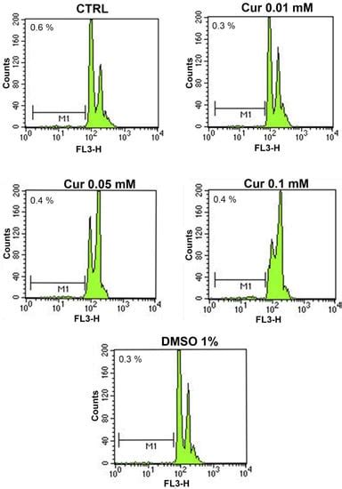 New Insights into Dose-Dependent Effects of Curcumin on ARPE-19 Cells