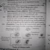 name three different types of blood cells and give their functions.draw ...