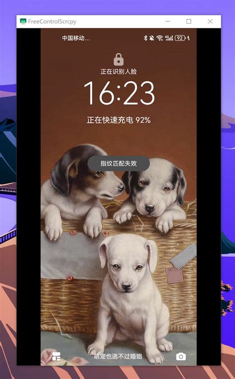Android Control 的图像结果