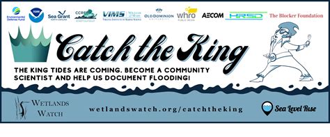 Catch the King — WETLANDS WATCH