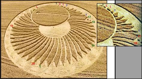 Image result for Decoding Crop Circles