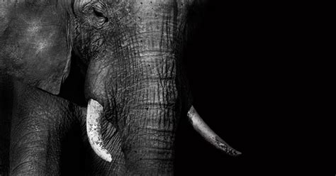 Image result for Write SQL Querz PostgreSQL