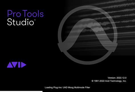 Image result for Pro Tools Level View