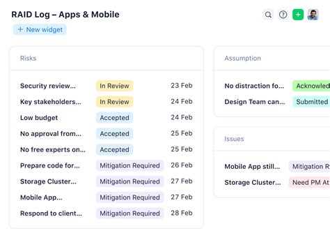 Image result for Project Management Raid Examples