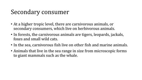 PPT - Ecosystem PowerPoint Presentation, free download - ID:8872245