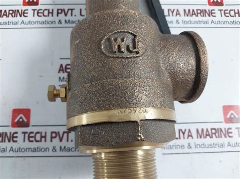 Neta Valves Wj 40Mm Bronze Spring Loaded Safety Relief Valve Cx75928 ...