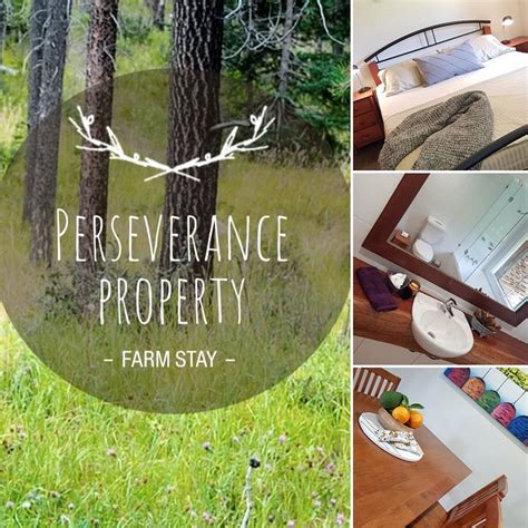 PERSEVERANCE PROPERTY FARM STAY (Kandanga Upper) - Lodging Reviews ...