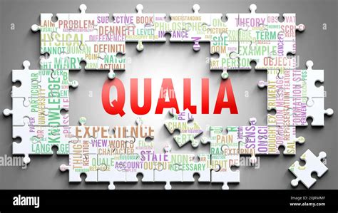 Image result for Qualia Explained