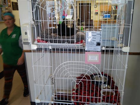 HUMANE SOCIETY OF SHEBOYGAN COUNTY - Sheboygan WI - Hours, Directions ...