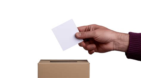 Voting PNG 的图像结果