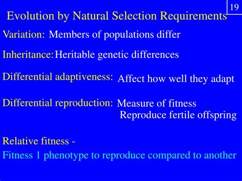 Image result for Evolution Process